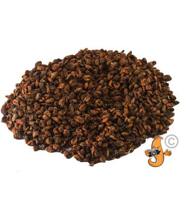 Chubby Silkworms Dried Silkworm Pupae for Wild Birds Koi Fish Reptiles and Other Animals 500g - Buy Online on GoSupps.com