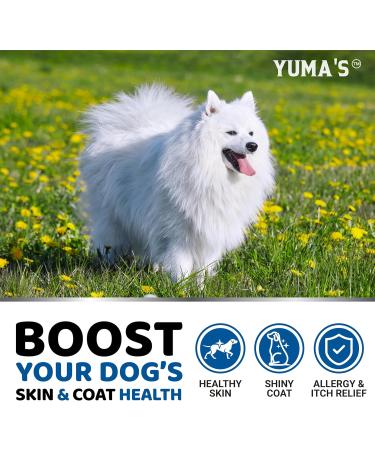 Omega 3 Fish Oil for Dogs - 170 Chews - Skin and Coat Supplement - Omega 3 for Dogs - Dry & Itchy Skin Relief Treatment - Allergy Support Dog Anti Shedding Treats - Salmon - EPA & DHA - Made in USA Chicken 170 Soft Chews - Buy Online on GoSupps.com