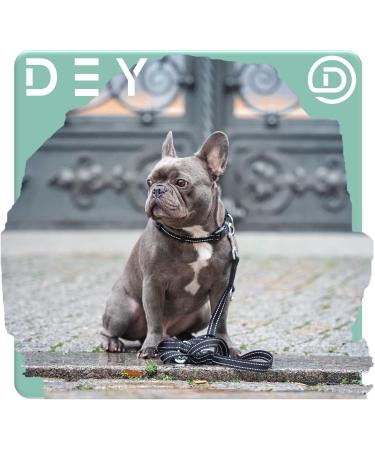 Buy Dey Premium 2m Dog Leash | Reflective 3-Way Adjustable | For All Dog Sizes | Multiple Colors | Doubleein Tow & Fire Leash | Red L - 2.5 x 200 cm - Buy Online on GoSupps.com