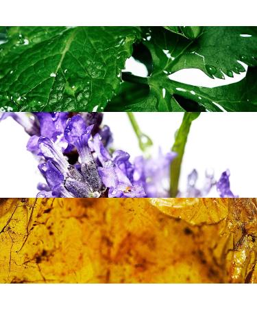 Davidoff Cool Water After Shave For Men 4.2oz - Soothing Post-Shave Hydration (1 Pack) - Buy Online on GoSupps.com