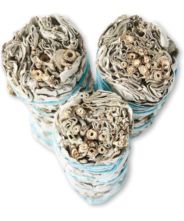 9-Inch White Sage Smudge Sticks (3 Pack) - Sustainably Harvested for Smudging & Cleansing with Instructions - Buy Online on GoSupps.com