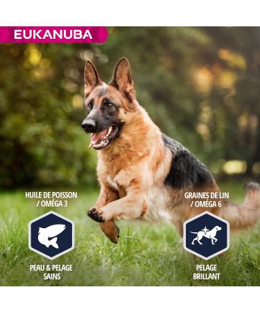 Eukanuba Dog Dry Food German Shepherd Chicken 12 kg - Buy Online on GoSupps.com