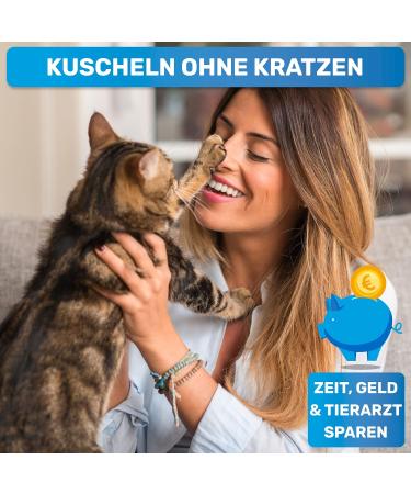 Bluepet Krallensch n Professional Claw Scissors for Small Dogs & Cats - Ergonomic Angled Head with Nail File | Ideal for Small to Medium Claws - Buy Online on GoSupps.com