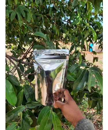 100% Jamaican Wild Soursop Leaves ( graviola) 1 oz - Buy Online on GoSupps.com