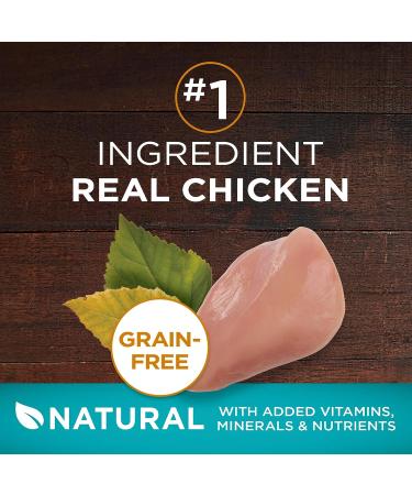 Purina ONE True Instinct Grain Free Dry Cat Food High Protein Chicken - 6.53 kg Bag & True Instinct Grain Free Dry Cat Food High Protein Ocean Whitefish - 1.45 kg Bag - Buy Online on GoSupps.com