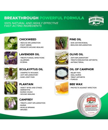Amish Origins Draw Salve 2 fl oz - Natural Pain Relief & Skin Treatment - Buy Online on GoSupps.com