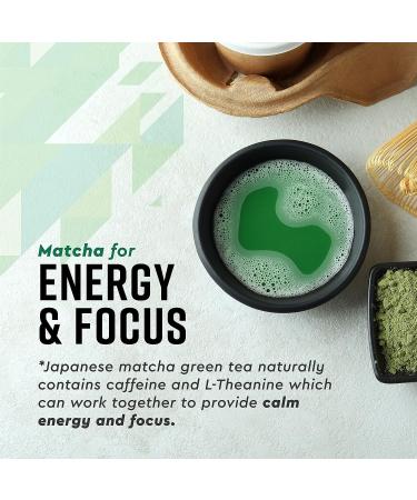360 Nutrition Matcha Chlorophyll Drops with L-Theanine - Gut Health Support & Energy Boost - Vegan, Gluten-Free - 60 Servings - Buy Online on GoSupps.com