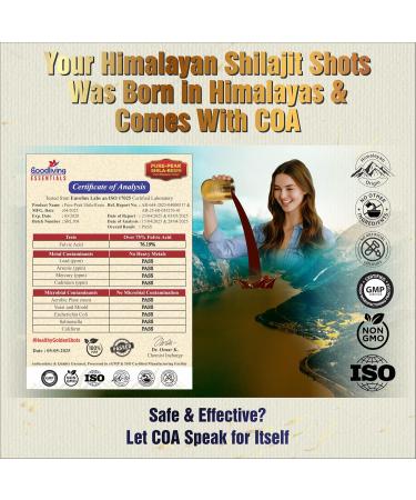 Pure Himalayan Shilajit Resin | High Potency for Men & Women | 75 Servings for Stamina and Muscle Building, 85+ Trace Minerals, 75%+ Fulvic Acid with Lab Report - Buy Online on GoSupps.com