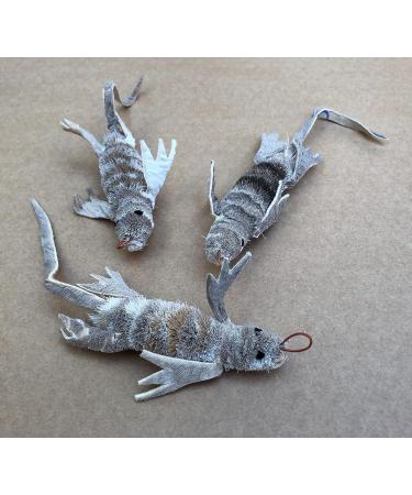 Purrs Lizard attachment- Fits PurrSuit Frenzy & DaBird wand Cat Toys - Buy Online on GoSupps.com