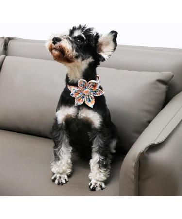 Unique Style Paws Dog Collar with Peach Flower Adjustable Cotton Collar for Small Dogs (10-16in) | Comfortable & Chic Design with Metal Buckle - Buy Online on GoSupps.com