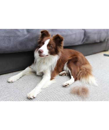 FURminator FURflex Grooming Brush for Medium Dogs | DeShedding Attachment for Undercoat Removal - Buy Online on GoSupps.com