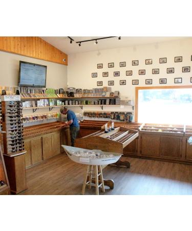 Scissor Clamp 5.5in Gold Straight 5.5 Inch Gold - Straight - Buy Online on GoSupps.com