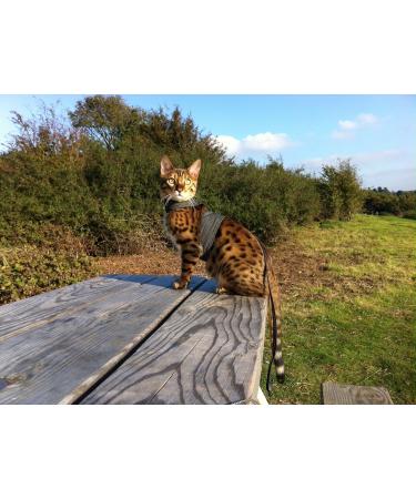 Mynwood Cat Jacket/Harness Black Denim Adult Cat black adult - Buy Online on GoSupps.com