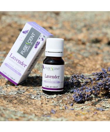 Lavender Essential Oil - 100% Pure & Natural 10ml UNDILUTED - Premium Scent for Aromatherapy & Relaxation - Buy Online on GoSupps.com