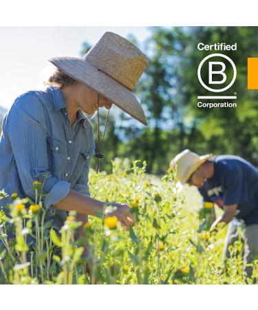 Herb Pharm Certified Organic Mullein Blend Liquid Extract for Respiratory System Support - 1 Ounce (Pack of 2) - Buy Online on GoSupps.com