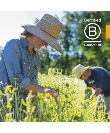 Buy Herb Pharm Artichoke Whole Leaf Extract 1 fl oz - Pure Herbal Supplement - Buy Online on GoSupps.com