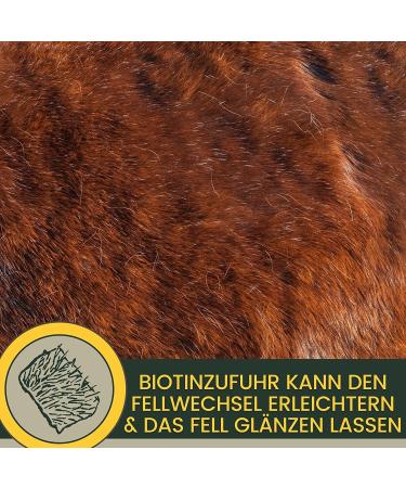 Mineral feed for horses biotin zinc selenium brewer's yeast nutritional supplement for horses with manganese and magnesium + amino acids vitamin B complex coat changer - Buy Online on GoSupps.com