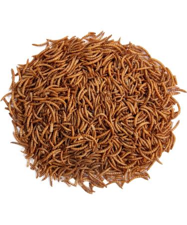 Premium Futterhof Dried Mealworms 3L Bucket (500g) - High-Quality Protein Source for Birds | International Shipping - Buy Online on GoSupps.com