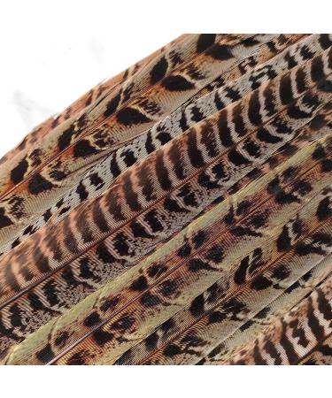 iHUFeather 20pcs Natural Pheasant Female Tails Feathers 6-8inch for DIY Crafts & Decor - Buy Online on GoSupps.com