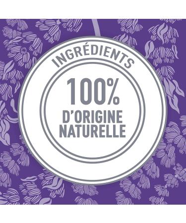 Schmidt's Natural Deodorant Stick Lavender & Sage Deodorant without Aluminium for Long-Lasting Freshness 75 g Pack of 1 - Buy Online on GoSupps.com