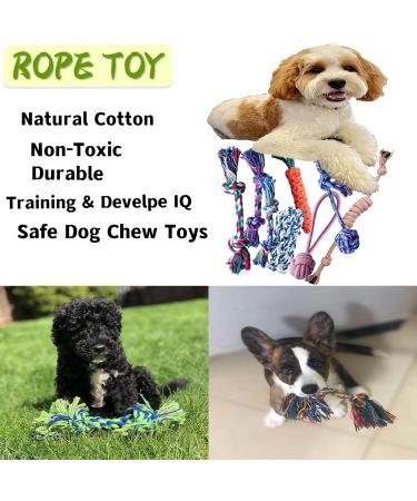 SHCNSJC Dog Toys Puppy Teething Rope Chew Toy for Small Dogs Indestructible for Boredom Interactive Large Tough Ball On A Ropes Medium & Small Chew Toy 12 PCS - Buy Online on GoSupps.com