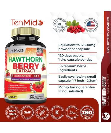 Hawthorn Berry Supplement Extract Capsules 12800mg - 4 Month Supply with Beet Root, Ashwagandha, Turmeric, Curcumin & Black Pepper - Digestion & Heart Health Support - Buy Online on GoSupps.com