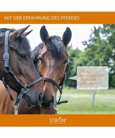 STR H Turmeric for Horses - 1L Dosing Bottle for Healthy Joints Cartilage & Ligament Support - Buy Online on GoSupps.com