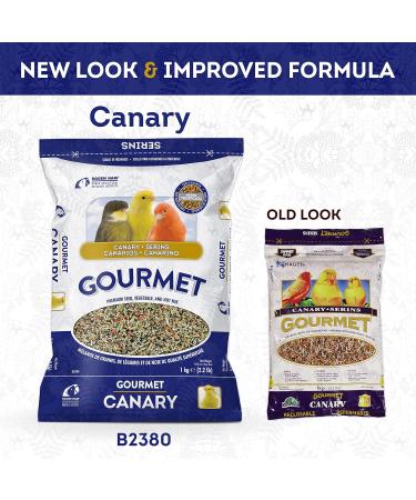 Hagen B2380 Canary Gourmet Mix 1kg 2.2-Pound - Buy Online on GoSupps.com