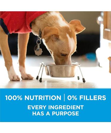 Purina ONE +Plus Small Breed Dry Dog Food with Beef - 1.81 kg Bag 1.81 kg (Pack of 1) - Buy Online on GoSupps.com