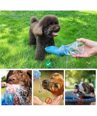 Foldable Blue Pet Water Bottle - Portable 430ml Dog Drinking Bottle for On-the-Go Hiking & Outdoor Adventures - Buy Online on GoSupps.com