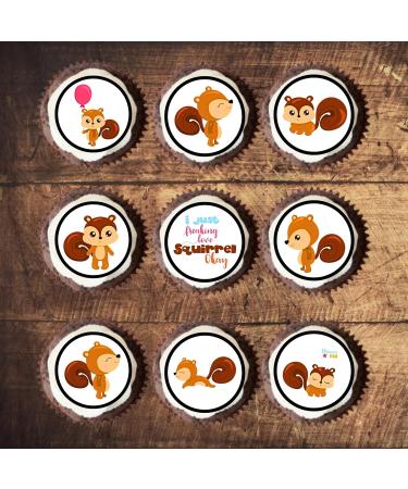 24 Squirrel Edible Cake Decorations Cute Squirrel Cupcake Toppers Woodland Animals Wild One Animal Cake Toppers Woodland Party Decorations Woodland Baby Shower Decorations Farm Cake Toppers - Buy Online on GoSupps.com