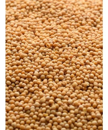 Buy Biojoy Organic Yellow Mustard Seeds (500g) - Additive-Free Sinapis Alba for Healthy Cooking - Buy Online on GoSupps.com