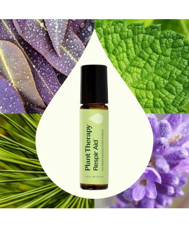 Plant Therapy Respir Aid Essential Oil Blend Pre-Diluted Roll-On 10 mL (1/3 oz) 100% Pure Essential Oils Aromatherapy Sinus Relief Congestion Relief - Buy Online on GoSupps.com