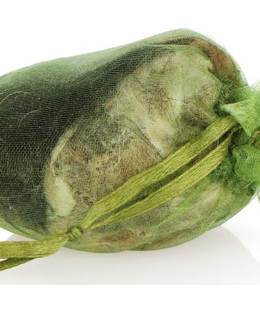 COM-FOUR 4x Vole Defense - Eco-Friendly Pet-Safe Solution with Dog Hair - 4 Pieces for Effective Wildlife Control - Buy Online on GoSupps.com