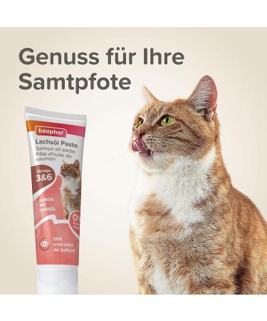 Buy Beaphar Salmon Oil Paste for Cats - Omega 3 & 6 100g | Sugar-Free DHA for Visual Support - Buy Online on GoSupps.com