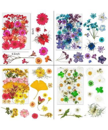 Dried Pressed Flowers 170+ Pcs - Bulk Natural Floral Fillers for Resin Crafts & Jewelry - 5 Color Set - Buy Online on GoSupps.com