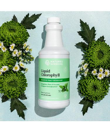 Nature's Sunshine Chlorophyll Liquid 16 fl. oz - Fresh Mint | Kosher | Detox & Digestive System Support - Buy Online on GoSupps.com