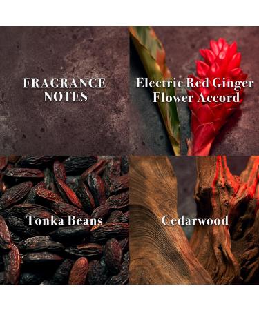 John Varvatos Men's Cologne XX Eau de Toilette EDT Spray Woody Oriental Scent with Notes of Cardamom Orange Flower & Sandalwood John Varvatos XX Intense Eau de Parfum 2.5 Fl Oz (Pack of 1) - Buy Online on GoSupps.com