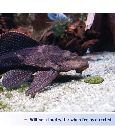 Aqueon Algae Rounds 3 oz - Premium Algae Rounds for Healthy Fish - Buy Online on GoSupps.com