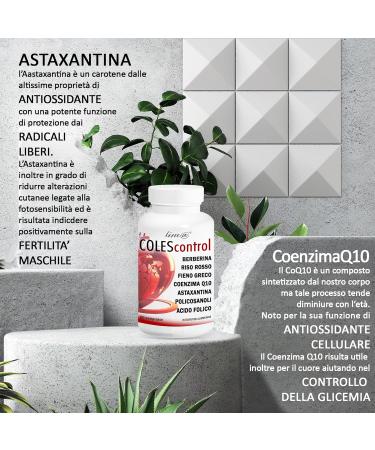 Colescontrol Line Dietary Supplements - Berber Red Rice Bockshornklee Coenzyme Q10 Astaxanthin Policosanols & Folic Acid | 60 Tablets | 2-Month Supply - Shop Now! - Buy Online on GoSupps.com
