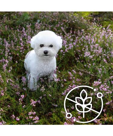 Nature's Protection Superior Care Hypoallergenic Dry Dog Food for Adult Dogs of All Breeds I Grain Free I Salmon I Food for Adult Dogs with Food Sensitivities 1.5 kg - Buy Online on GoSupps.com