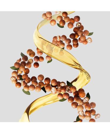 Nexxus Curl Define Shampoo & Conditioner 2 Count - ProteinFusion for Curly/Coily Hair, Strengthening & Moisturizing - Sulfate-Free with Marula Oil 13.5 oz - Buy Online on GoSupps.com