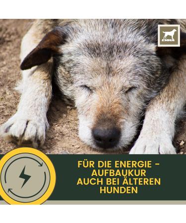 Vitamins for Dogs 1 ml + Paste 15 ml Vitamin B Complex for Dogs Vitamins B + Vitamin ACD Calcium Strengthens Vitality Multivitamins & Minerals Supports the Immune System Skin Coat - Buy Online on GoSupps.com