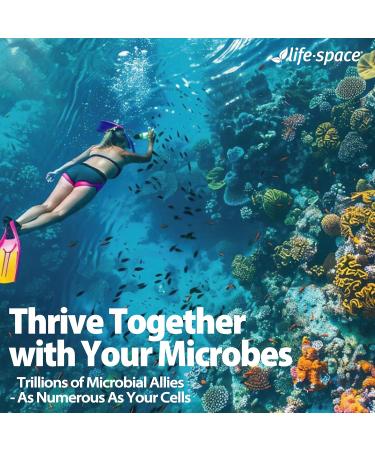 Life-Space Double Strength Broad Spectrum Probiotic 64 Billion CFU & 15 Diverse Strains Redouble Formulated for Digestive Health & Immune Health Probiotics for Women & Men - 30 Veg Capsules B- Double Strength Broad Spect  - Buy Online on GoSupps.com