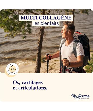 Patented Collagen + Hyaluronic Acid 3 Patents and 16 Clinical Studies 2 Months of Cure 60 Gels Made in France by Apyforme - Buy Online on GoSupps.com