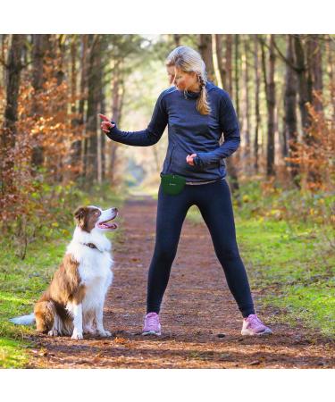 Navaris Silicone Dog Snack Bags Set - 2x Reusable Lining Bags with Clip & Magnet for Dry & Wet Food - Gray & Green - Buy Online on GoSupps.com