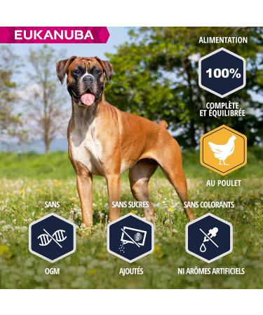Eukanuba Dog Dry Food Boxer Chicken 12kg - Buy Online on GoSupps.com