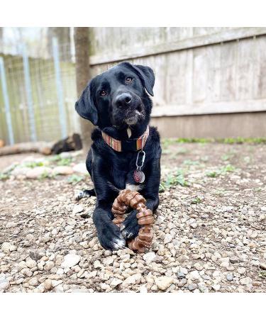 Nylabone Power Chew Textured Ring Dog Chew Toy - X-Large/Souper - Made in USA - Bold Flavor - Aggressive Chewers - Ring Flavor Medley - 1 Count - Buy Online on GoSupps.com