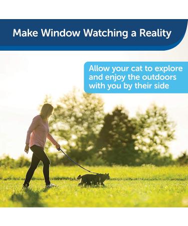 PetSafe Come With Me Kitty Harness & Bungee Leash - Large Royal Blue/Navy | Best Cat Harness for International Shipping - Buy Online on GoSupps.com