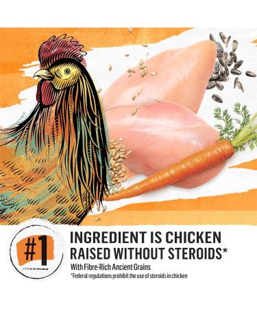 Beyond Simply Natural Dry Dog Food Farm-Raised Chicken & Whole Barley- 10.8 kg Bag 10.8 kg (Pack of 1) - Buy Online on GoSupps.com